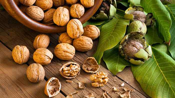 The Magic of Walnuts A Natural Appetite Suppressant

-How to Get Fit & Fabulous-