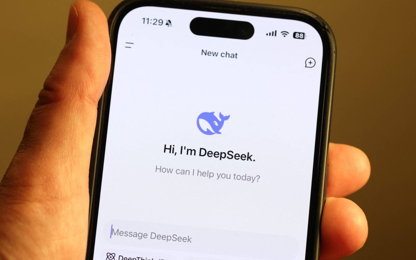 DeepSeek