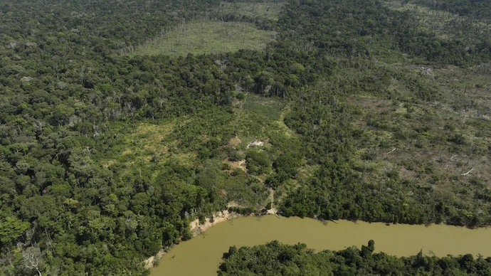 The Rescued Molai Forest - Jadav Payeng