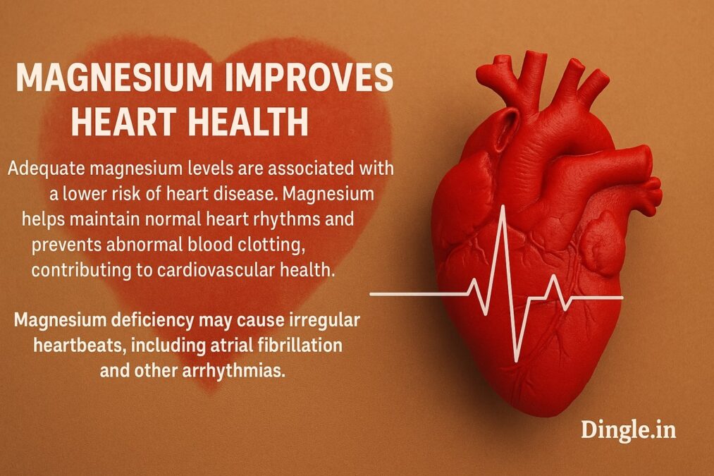 Magnesium Improves Heart Health - Dingle.in