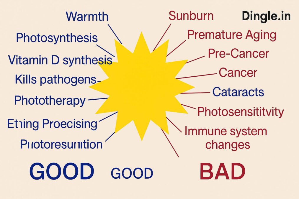 The Benefits and Risk of Summer