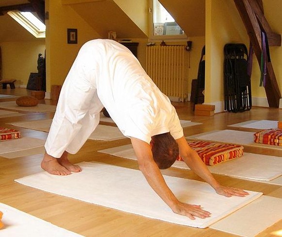Part 5 - Adho Mukha Shvanasana

This pose is also called "Dandasan" or "Downward-facing Pose." It helps improve your posture and stretches your shoulders and chest.
-Dingle.in